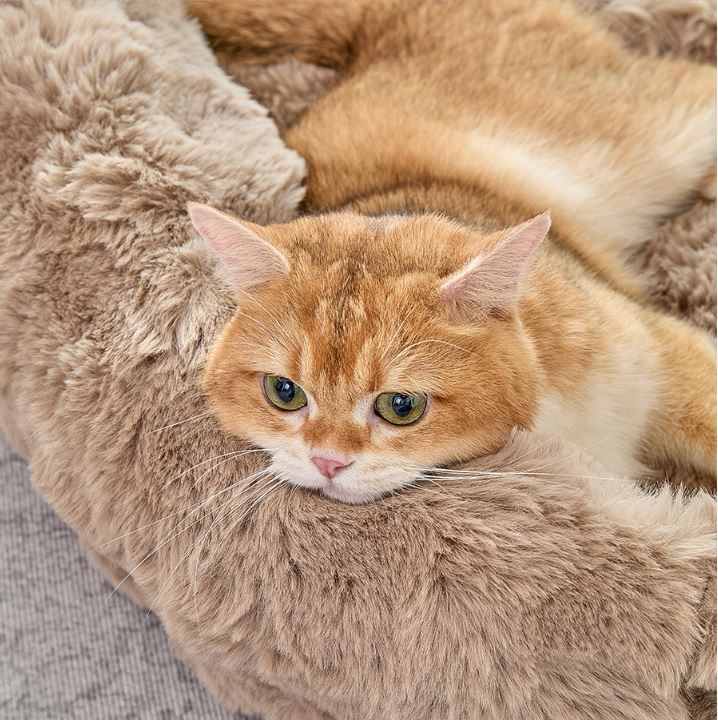 Brown Bubble Plush Pet Sofa Bed with Removable Cushion S Size 60*45*23CM – Ultra-Soft Winter Thickened Warm Pet Nest with Raised Bolster Edges, Washable Plush Cover and Non-Slip Base, Cozy and Soft Sleeping Space for Dog & Cat Home Use