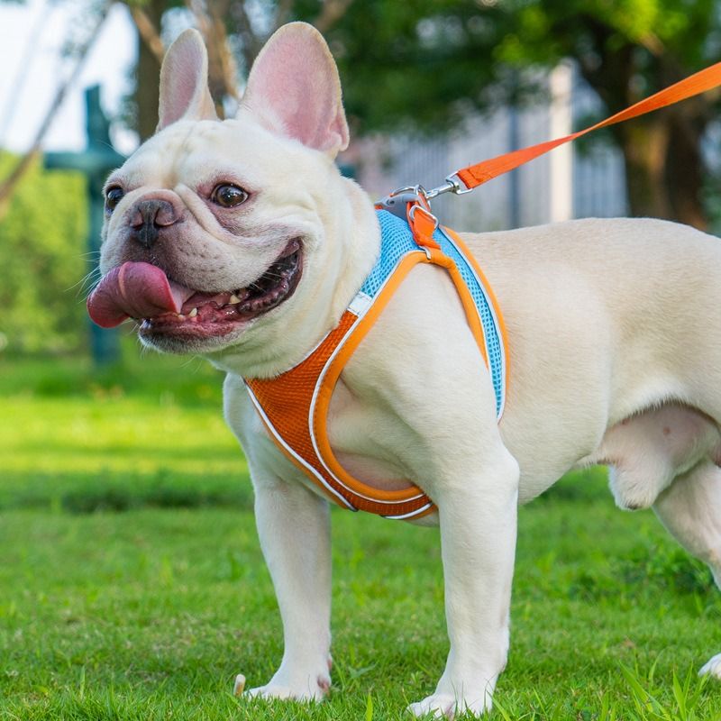 Breathable Reflective Pet Harness Set: Vest-Style Dog Harness + Leash - Black-L