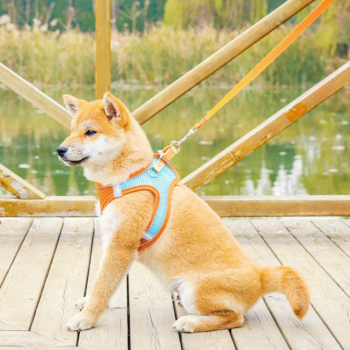 Breathable Reflective Pet Harness Set: Vest-Style Dog Harness + Leash - Black-L