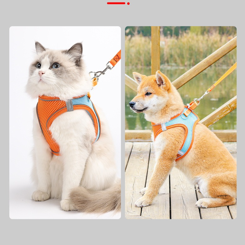 Breathable Reflective Pet Harness Set: Vest-Style Dog Harness + Leash - Blue-L